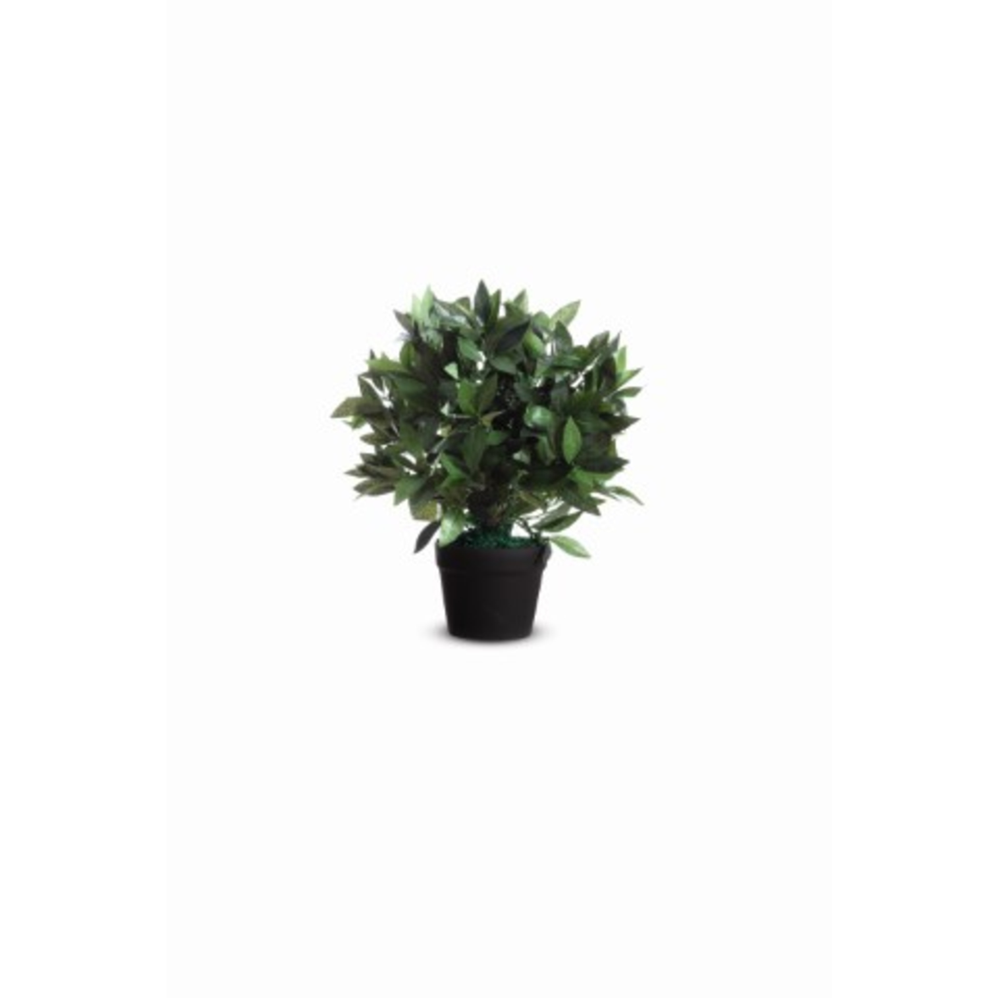 Paperflow Zimmerpflanze Loorbeerbaum 40 x 50 cm (B x H) Polyester/Holz grün