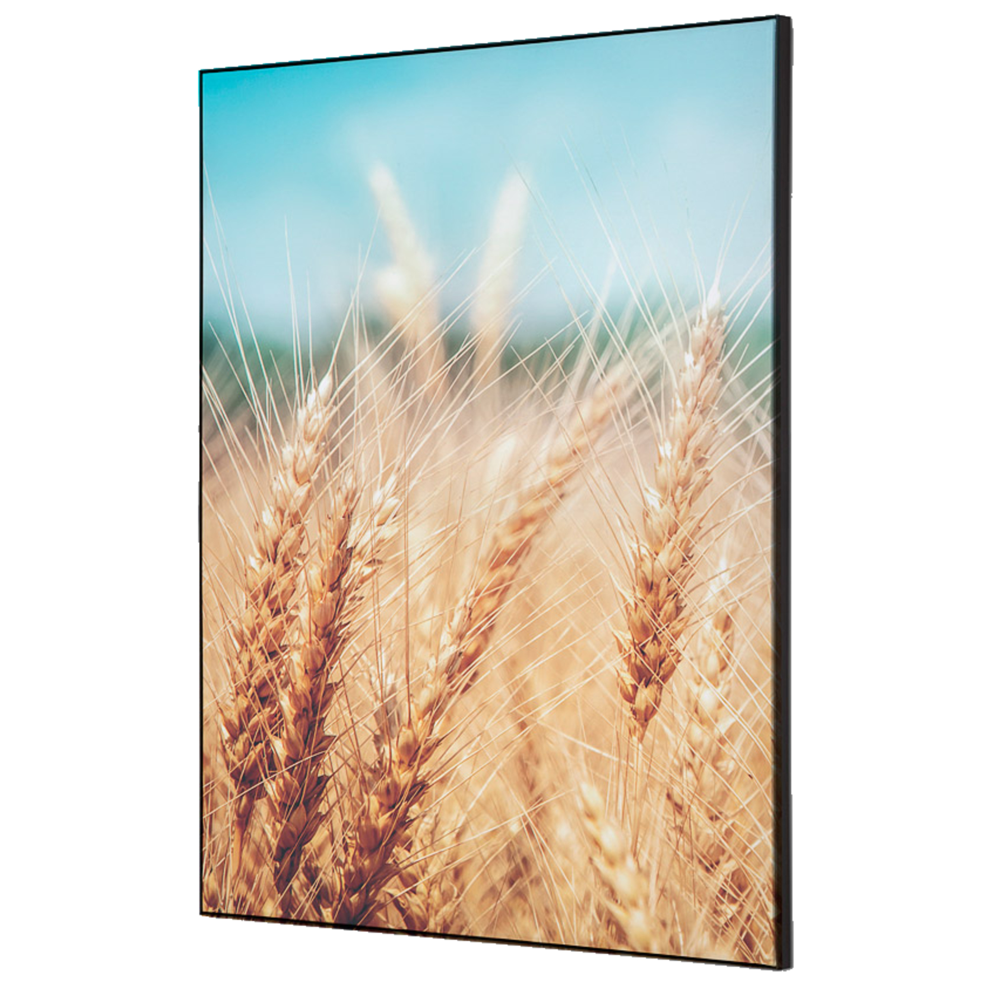 Showdown® Displays Dekobild Getreidefeld 42 x 59,4 cm (B x H) Holz