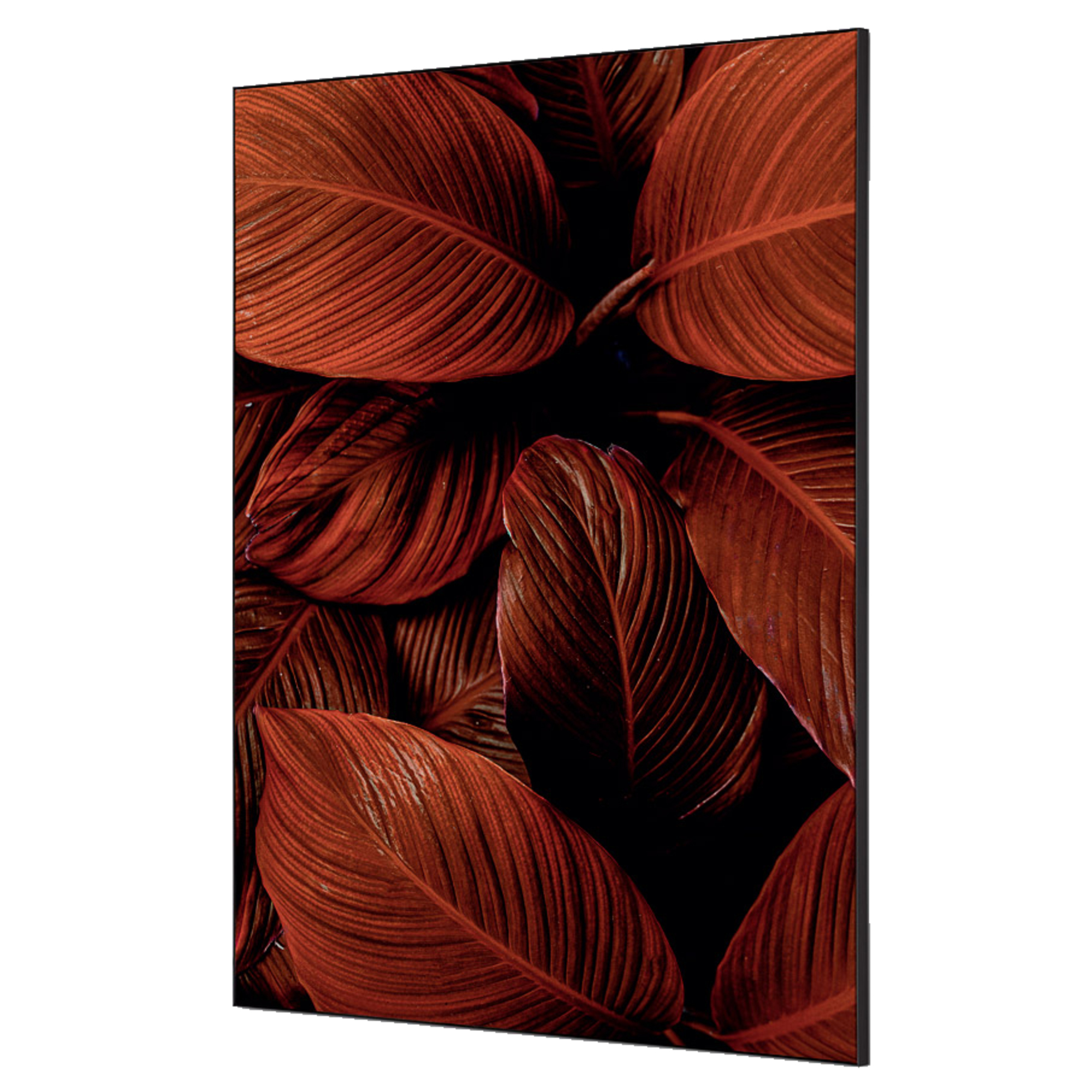 Showdown® Displays Dekobild Botanische Blätter 84,1 x 59,4 cm (B x H) Holz