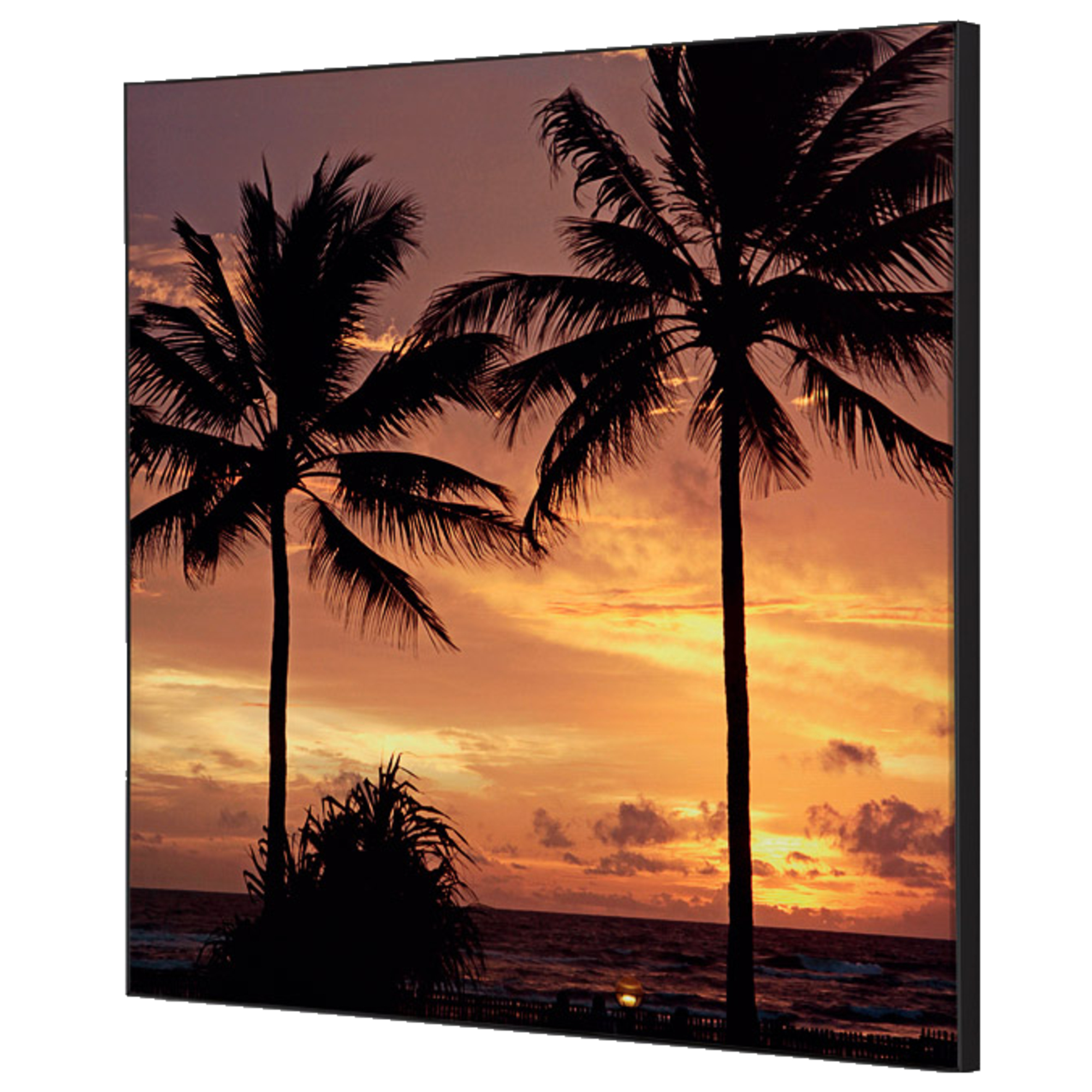 Showdown® Displays Dekobild Palmen Sonnenuntergang 40 x 40 cm (B x H) Holz
