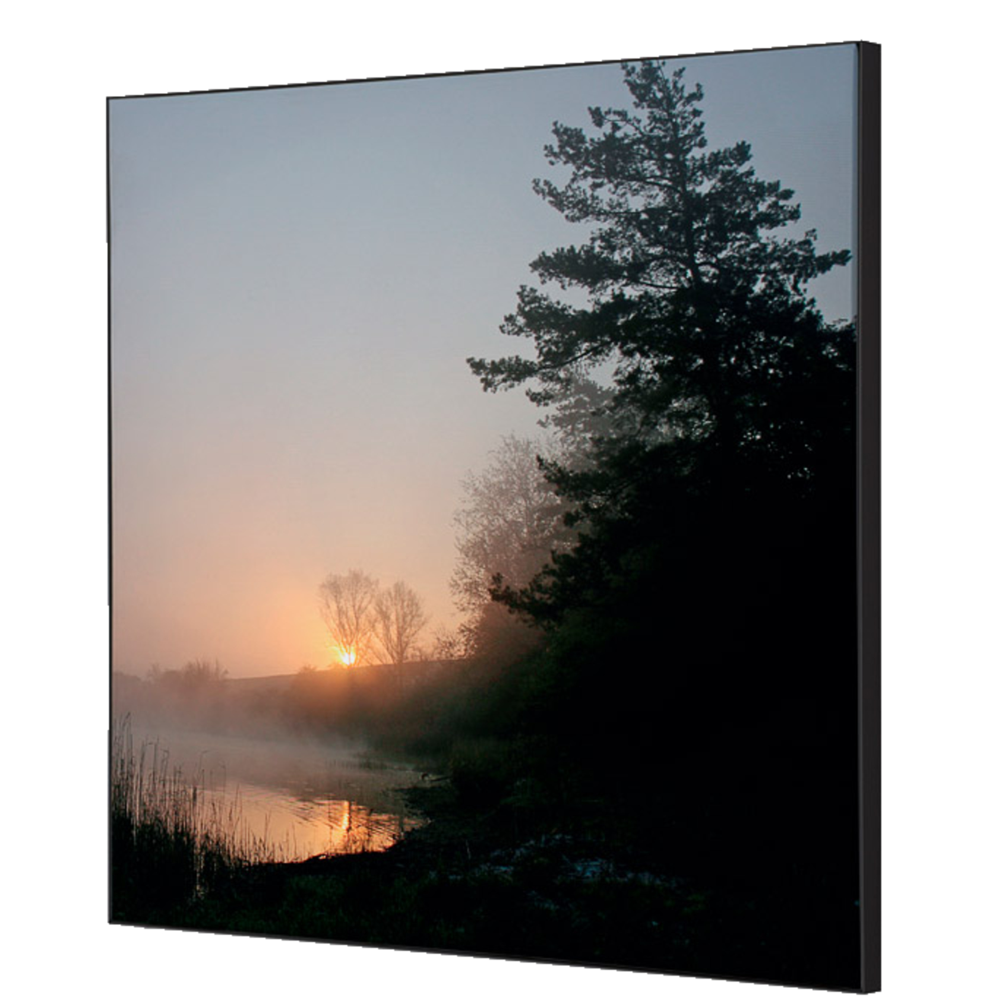 Showdown® Displays Dekobild Wald Sonnenaufgang 40 x 40 cm (B x H) Holz