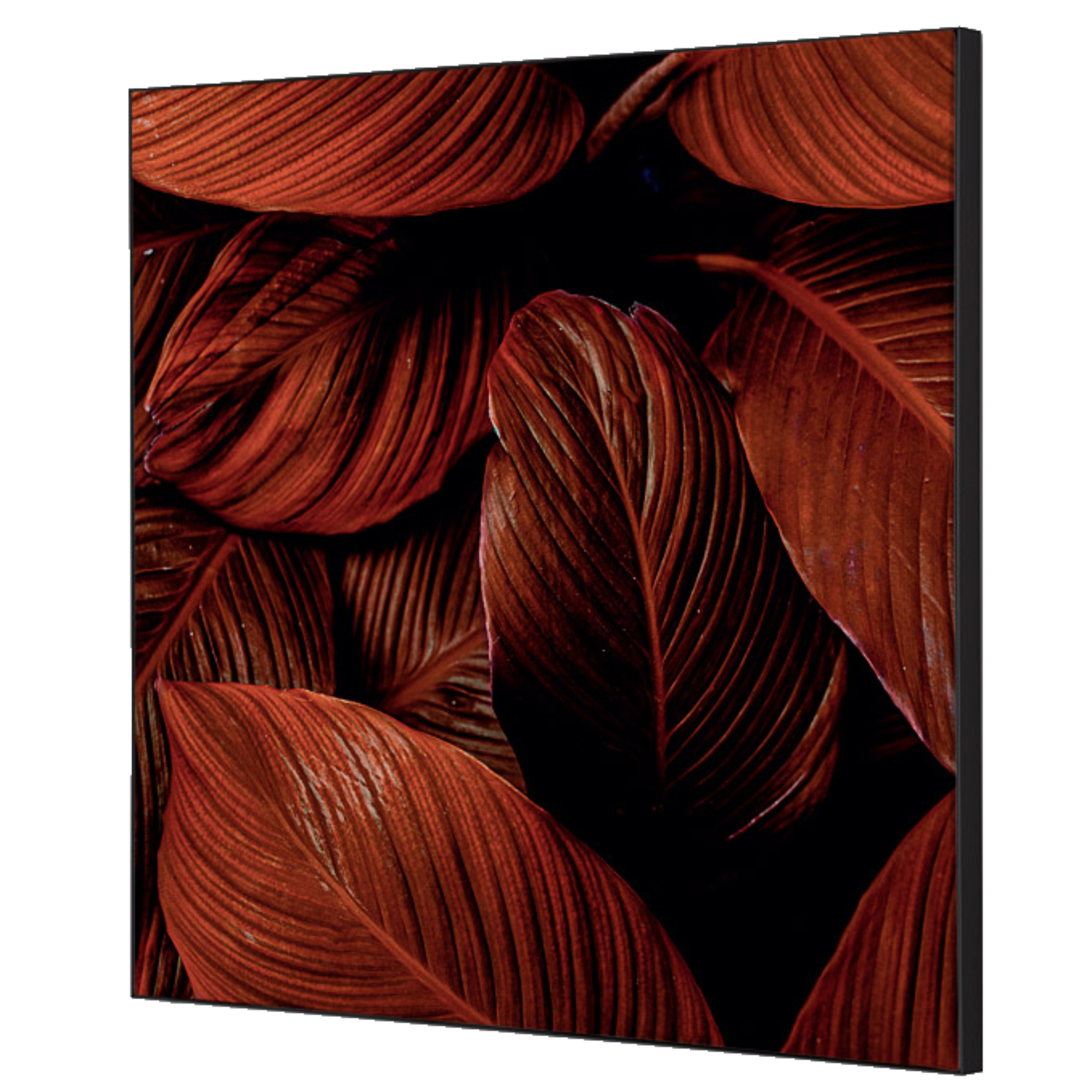Showdown® Displays Dekobild Botanische Blätter 40 x 40 cm (B x H) Holz