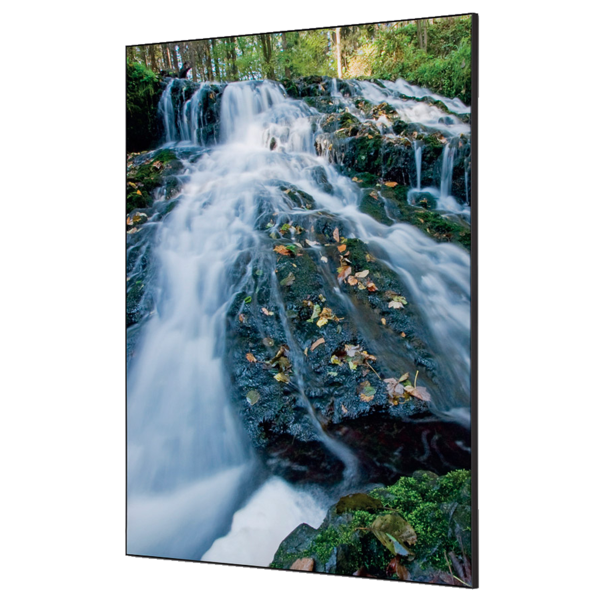 Showdown® Displays Dekobild Wasserfallwald 84,1 x 59,4 cm (B x H) Holz