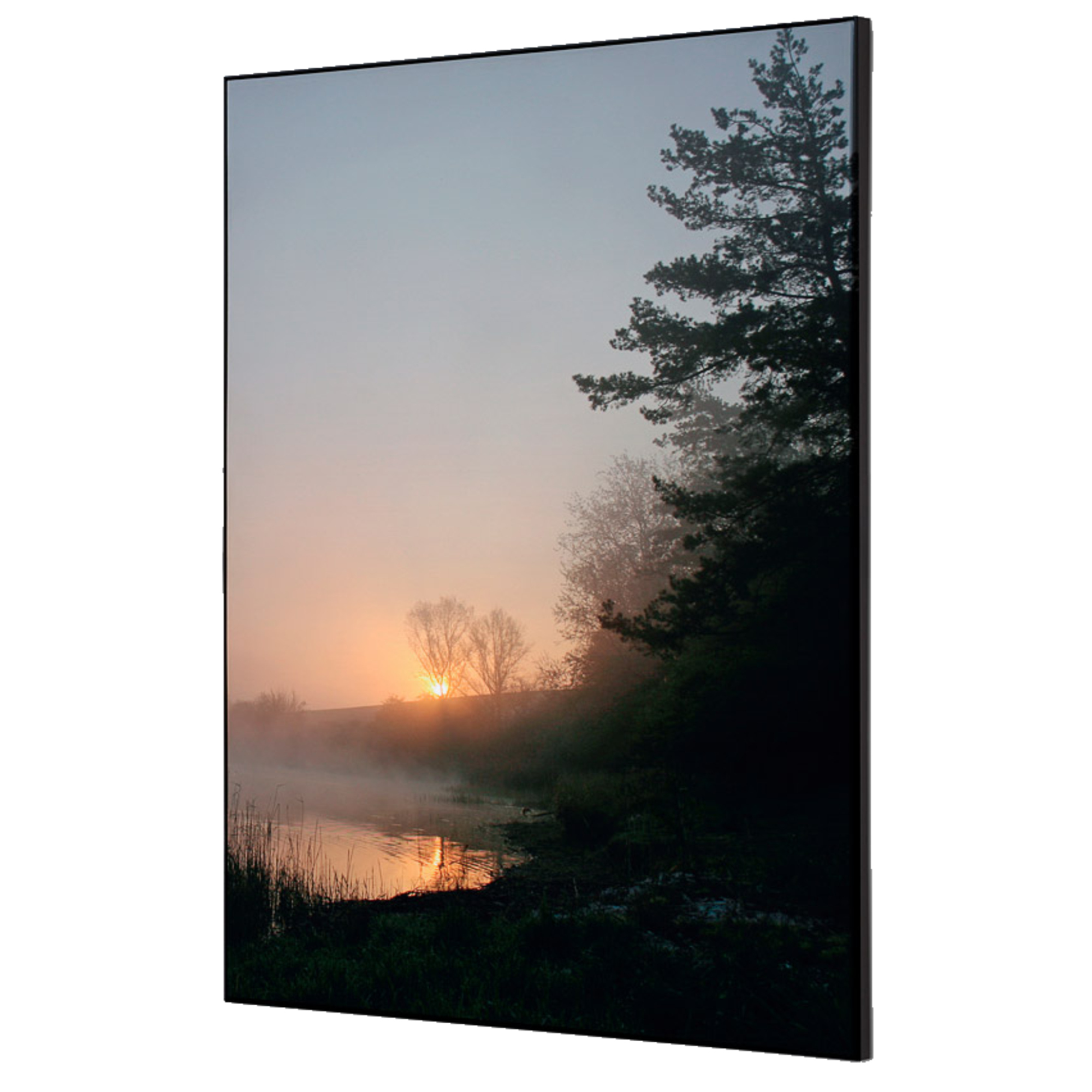Showdown® Displays Dekobild Wald Sonnenaufgang 42 x 59,4 cm (B x H) Holz