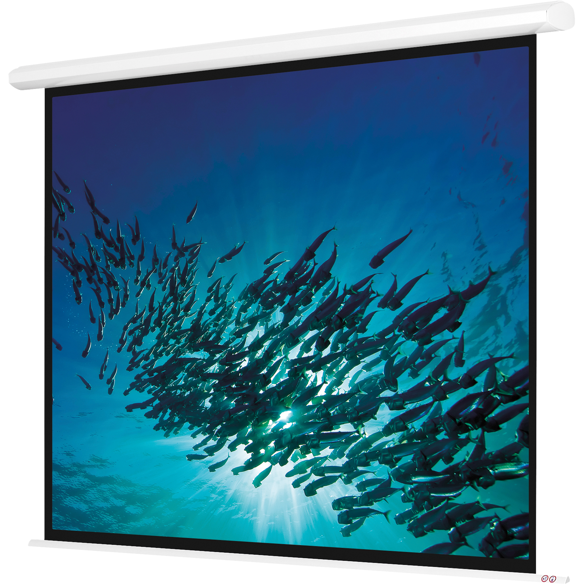 magnetoplan® Projektionswand Cineflex Advaced IR Bildformat: 1:1 Projektionsfläche: 200 x 200 cm (B x H) inkl. Infrarot Fernbedienung weiß