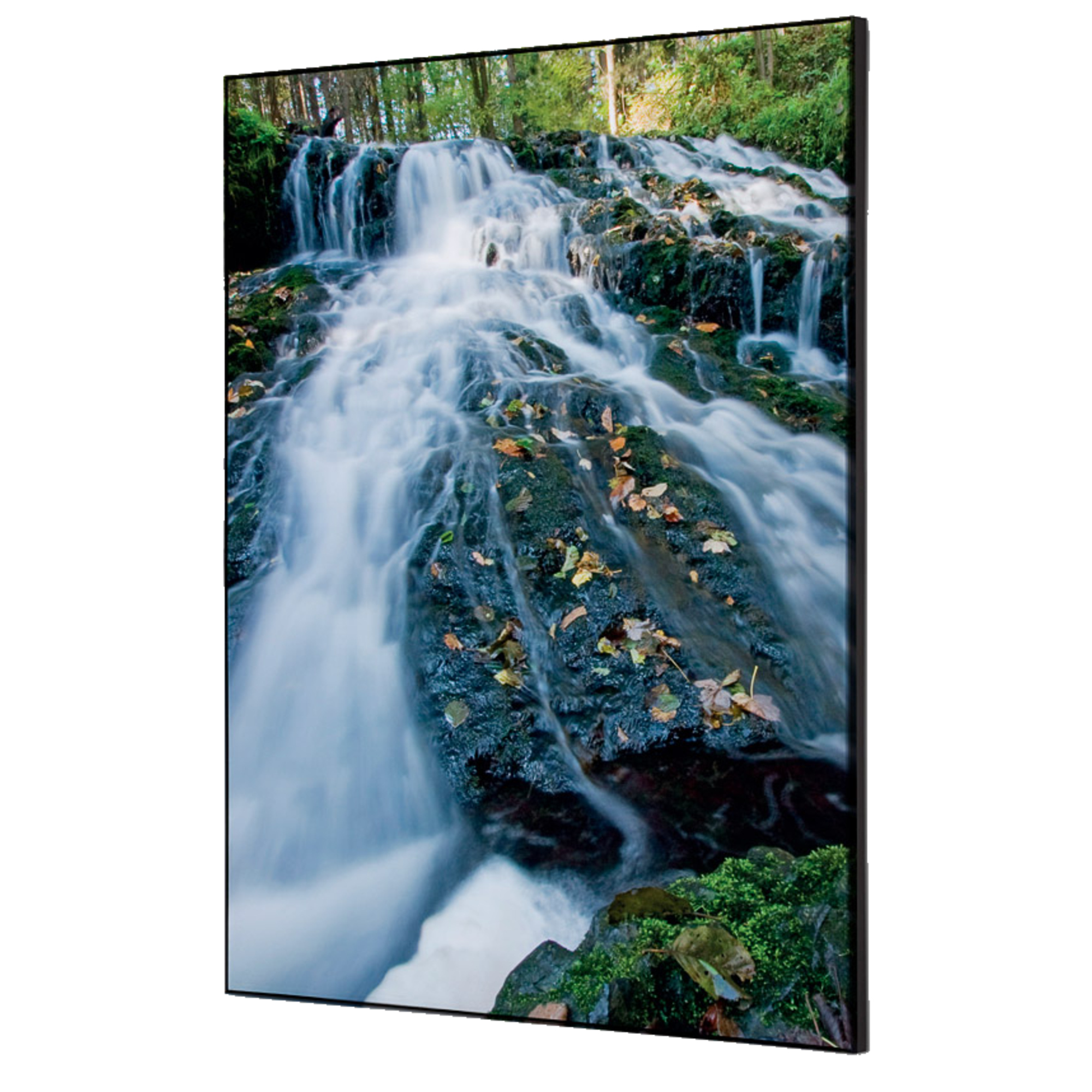 Showdown® Displays Dekobild Wasserfallwald 42 x 59,4 cm (B x H) Holz