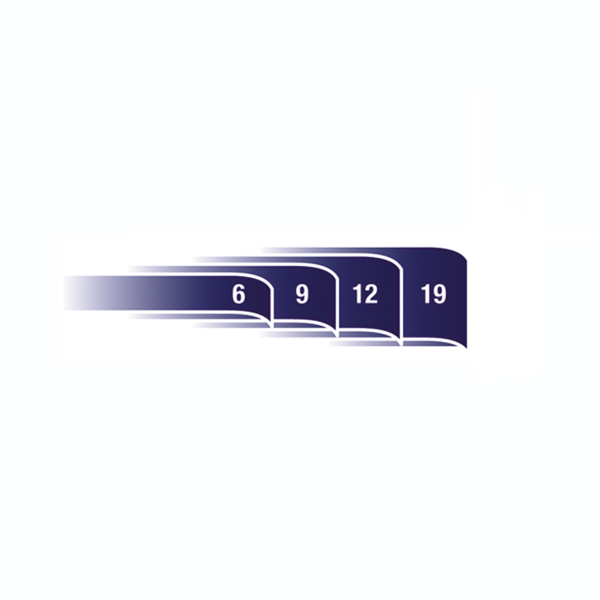 DYMO® Beschriftungsgerät Rhino™ 4200 4 Display-Zeilen 7 Schriftgrößen 4 Druckzeilen inkl. Vinylband (12 mm, schwarz auf weiß), Kurzanleitung