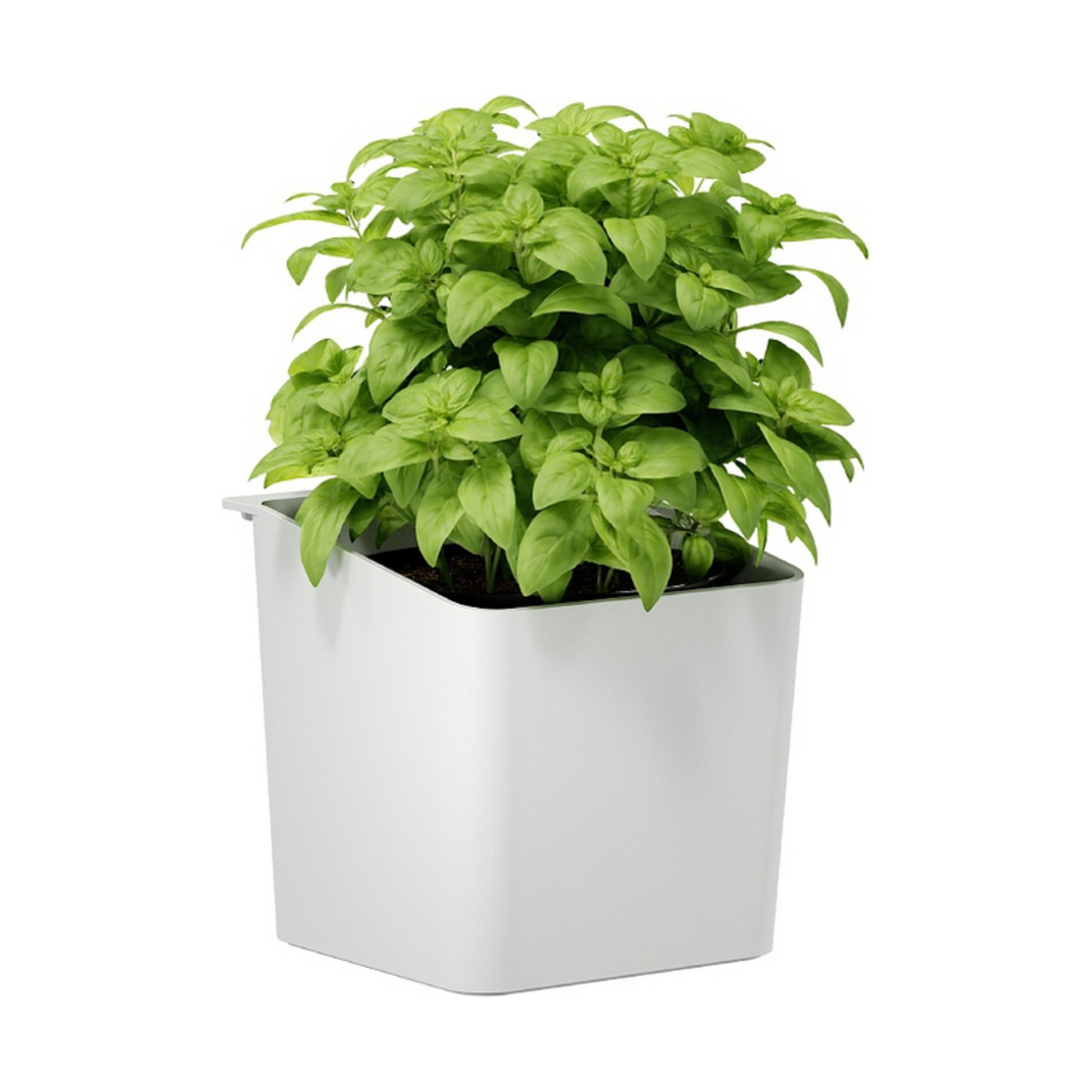 tesa® Kräutertopf KITCHEN 14,5 x 13,5 x 13,5 cm (B x H x T) 5kg ABS Kunststoff weiß
