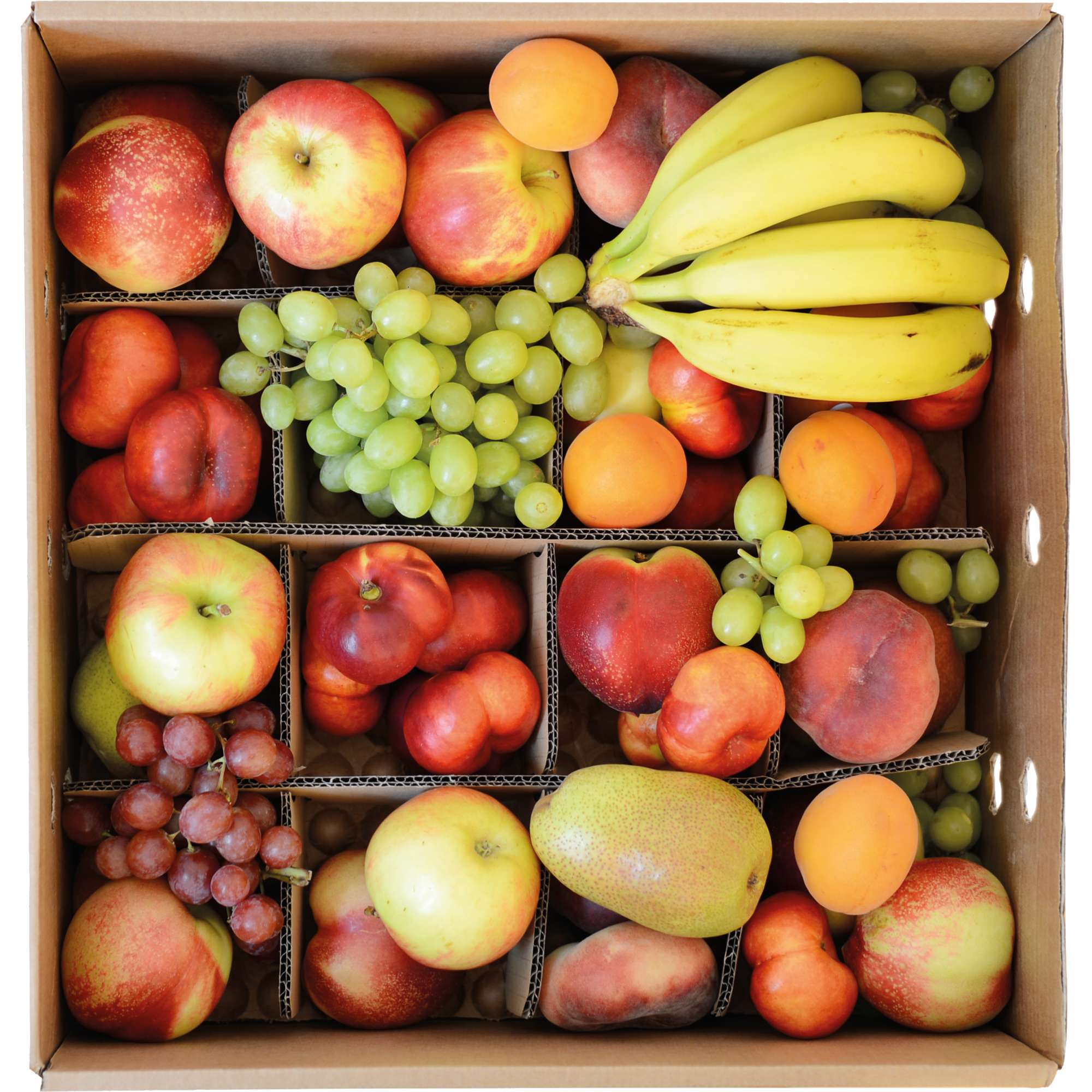Obstpaket verschiedenes Obst 6 kg/Pack.