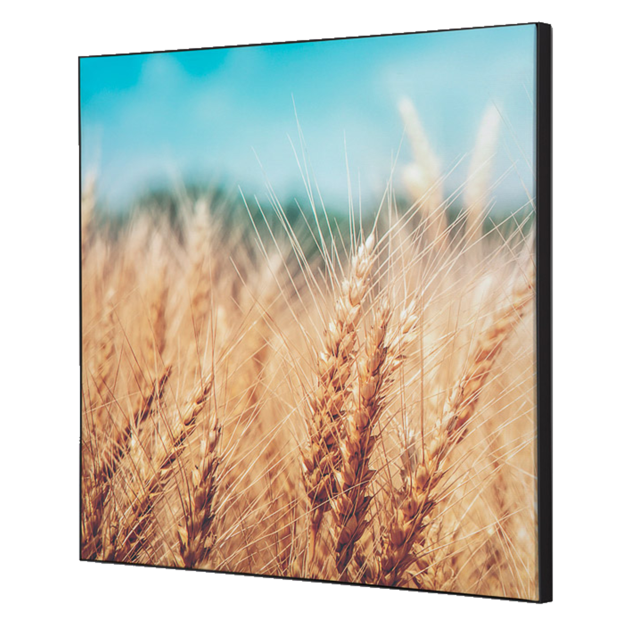 Showdown® Displays Dekobild Getreidefeld 40 x 40 cm (B x H) Holz