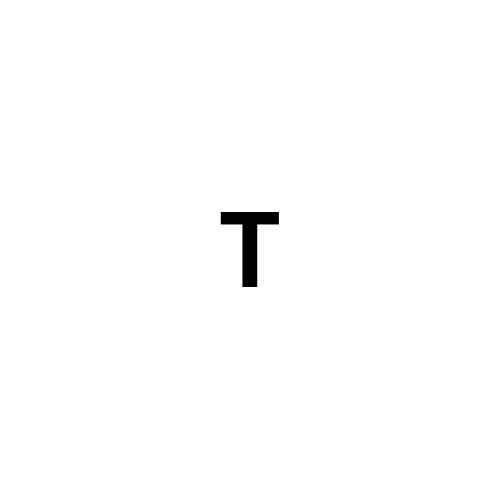 T T Trinkflasche Classique 0,5l inkl. Schwammbürste, Samttasche Edelstahl 18/18 anthrazit, Trinkflasche Grande Classique 1l -10 bis +100°C Borosilikatglas anthrazit