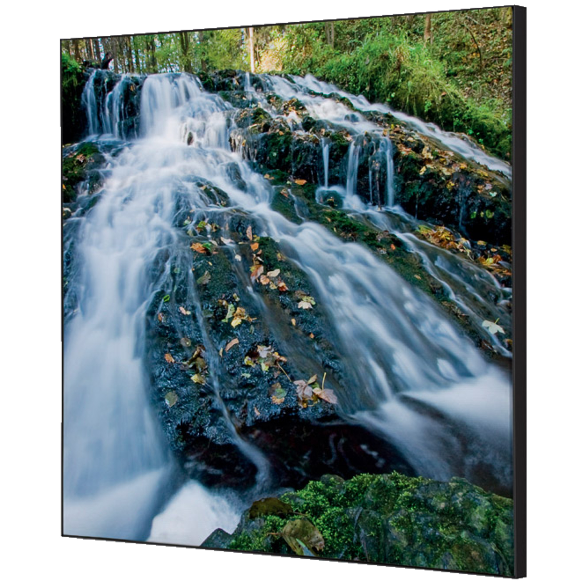 Showdown® Displays Dekobild Wasserfallwald 40 x 40 cm (B x H) Holz