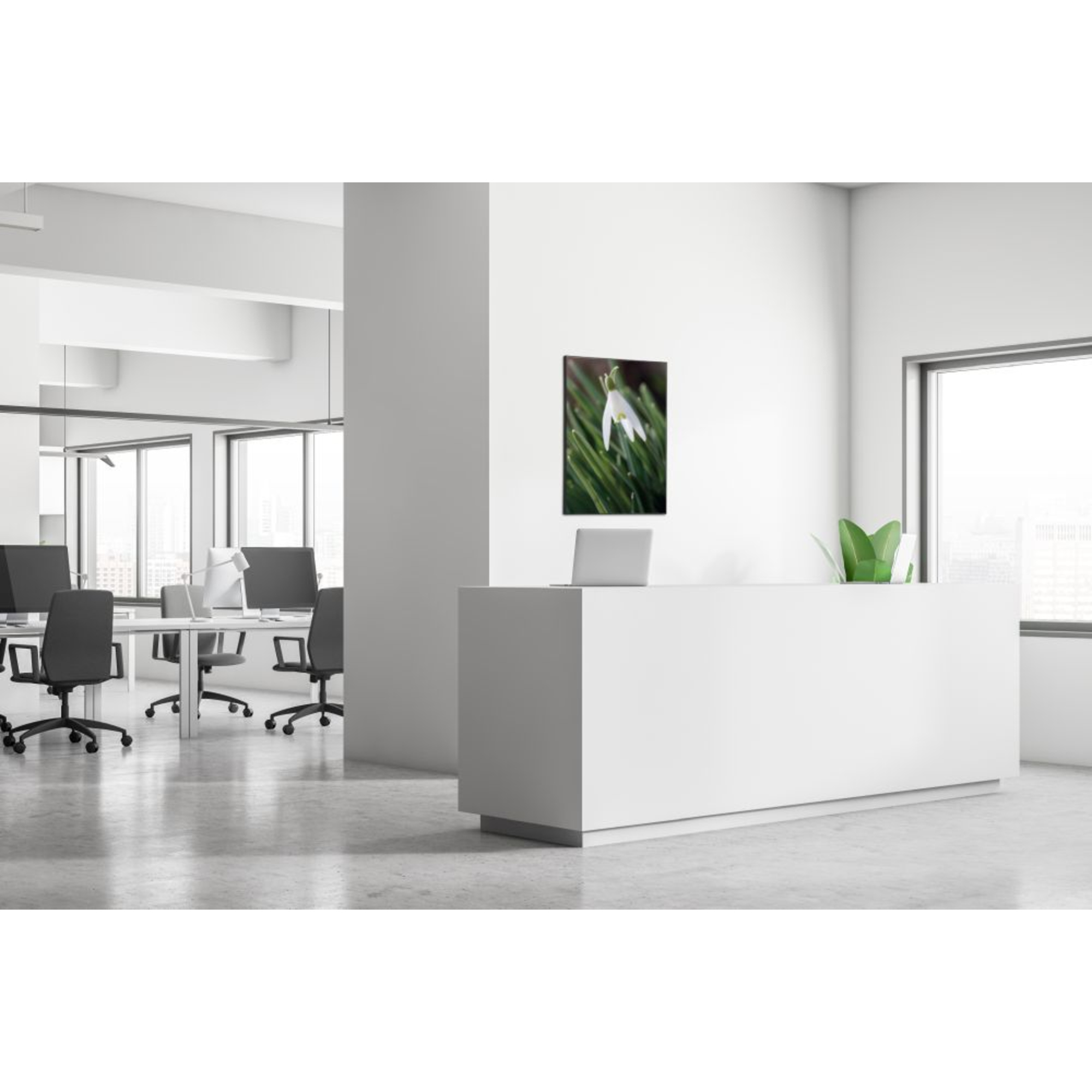 Showdown® Displays Dekobild Weiße Blume Schneeglöckchen 84,1 x 59,4 cm (B x H) Holz