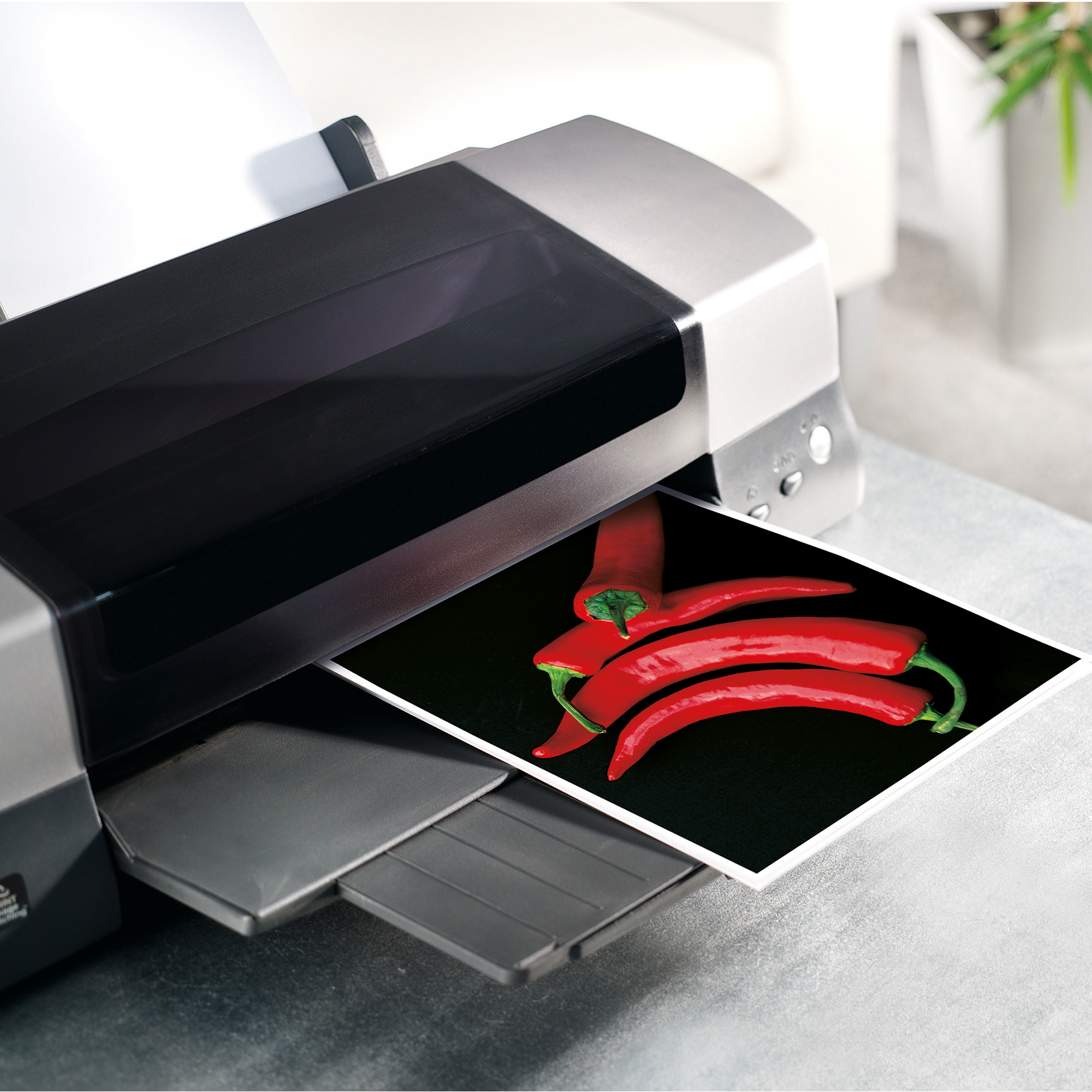 SIGEL Fotopapier Everyday DIN A4 170g/m² weiß hochglänzend 50 Bl./Pack.