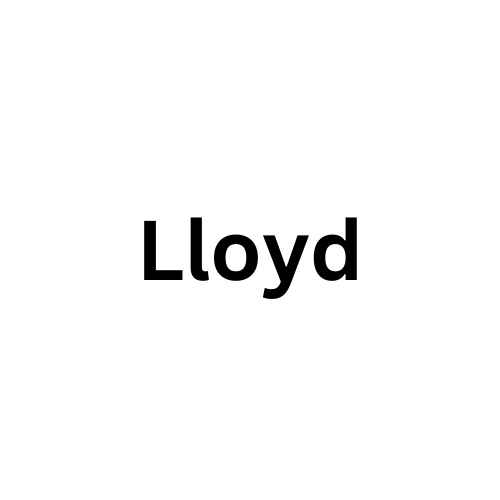 Lloyd Lloyd Spülmaschinentabs Compact 112 x 18 g/Pack.