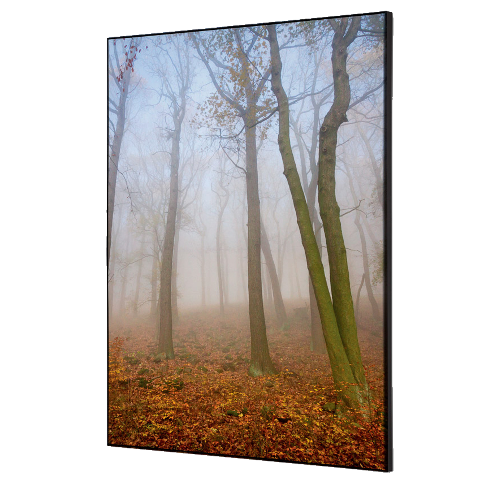 Showdown® Displays Dekobild Herbstnebel 42 x 59,4 cm (B x H) Holz