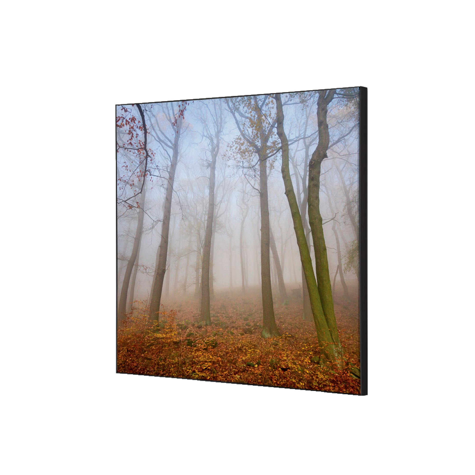 Showdown® Displays Dekobild Herbstnebel 40 x 40 cm (B x H) Holz