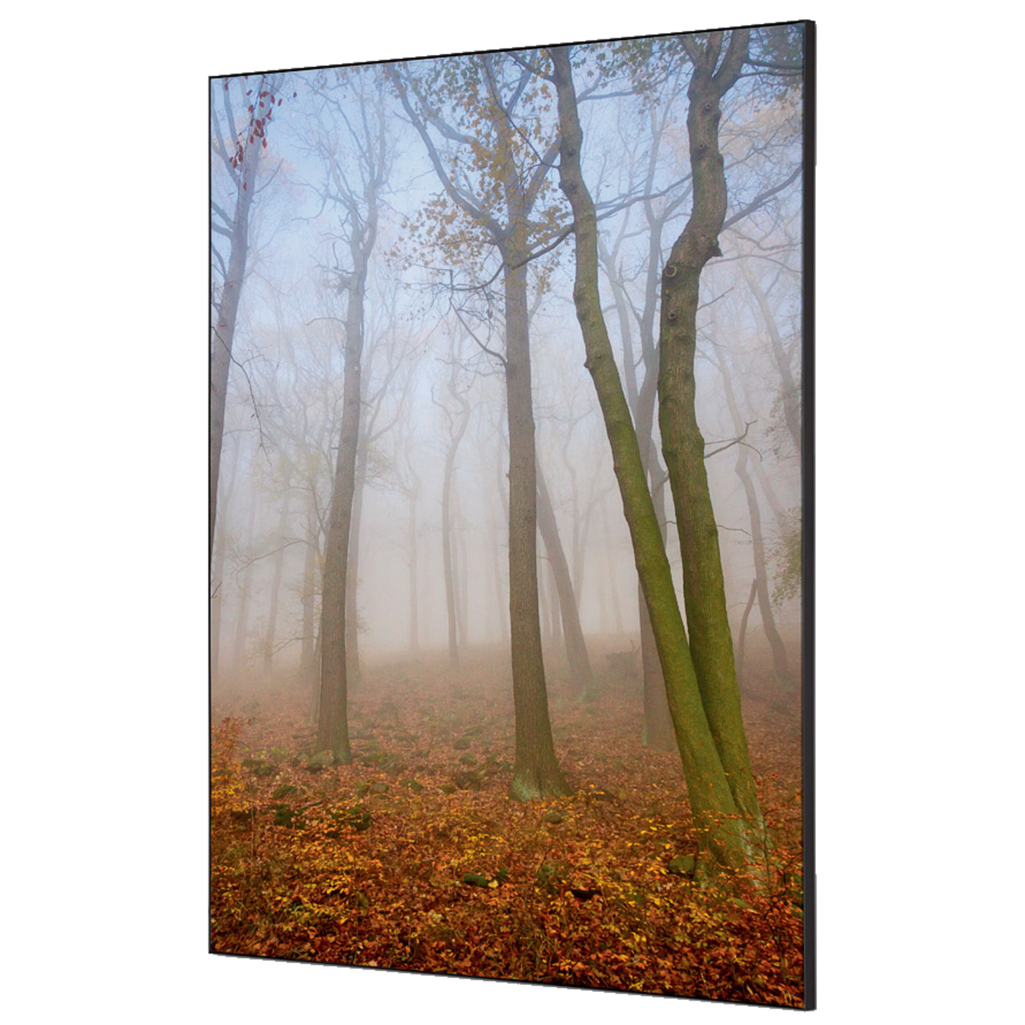 Showdown® Displays Dekobild Herbstnebel 84,1 x 59,4 cm (B x H) Holz